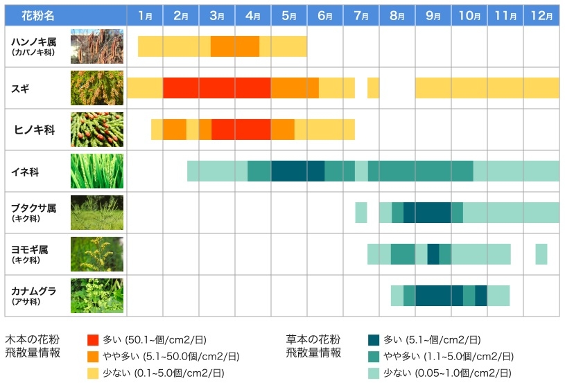 花粉カレンダー.jpg