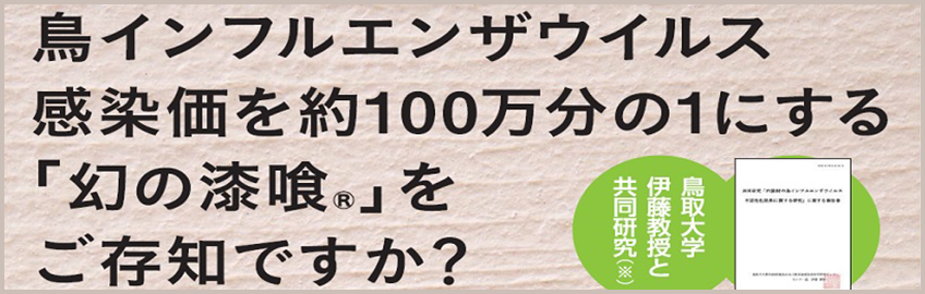 幻の漆喰をご存知ですか？